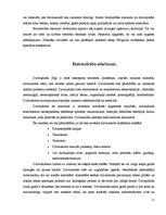 Referāts 'Bīstamie atkritumi', 11.