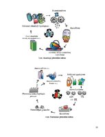 Referāts 'Bīstamie atkritumi', 20.