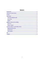 Biznesa plāns 'Biznesa plāns - reduktoru ražošana', 2.