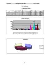 Referāts 'Elektriskā ķēde ar jaukto kondensatoru savienojumu', 17.