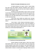 Referāts 'Muzeju nozares drukātie un elektroniskie informācijas avoti', 6.