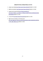 Referāts 'Muzeju nozares drukātie un elektroniskie informācijas avoti', 11.