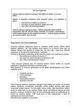 Referāts 'Programmatūras attīstības tehnoloģija - problēmas ar Use Case', 4.