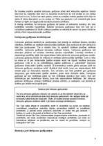 Referāts 'Programmatūras attīstības tehnoloģija - problēmas ar Use Case', 9.