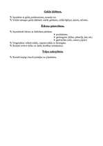 Konspekts 'Rokdarbu mape', 3.