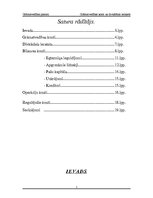 Referāts 'Grāmatvedības konti un divkāršais ieraksts', 2.