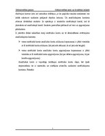 Referāts 'Grāmatvedības konti un divkāršais ieraksts', 5.