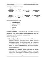 Referāts 'Grāmatvedības konti un divkāršais ieraksts', 11.