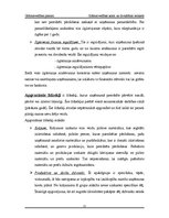 Referāts 'Grāmatvedības konti un divkāršais ieraksts', 12.