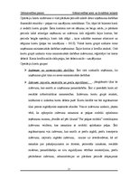 Referāts 'Grāmatvedības konti un divkāršais ieraksts', 17.