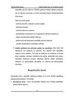 Referāts 'Grāmatvedības konti un divkāršais ieraksts', 18.