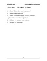 Referāts 'Grāmatvedības konti un divkāršais ieraksts', 21.