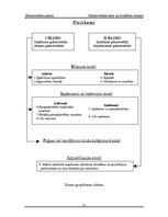 Referāts 'Grāmatvedības konti un divkāršais ieraksts', 22.
