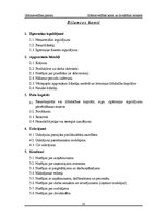 Referāts 'Grāmatvedības konti un divkāršais ieraksts', 23.