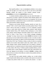 Eseja 'Migrantu identitātes zaudēšana', 1.