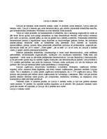 Eseja 'Latvija ir tiesiska valsts', 1.