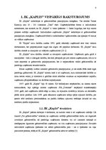 Referāts 'Individuālā komersanta "Kaplis" gada pārskata analīze un novērtēšana', 6.