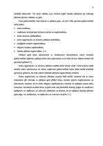 Referāts 'Individuālā komersanta "Kaplis" gada pārskata analīze un novērtēšana', 11.