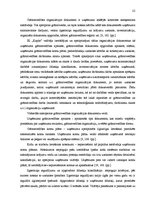 Referāts 'Individuālā komersanta "Kaplis" gada pārskata analīze un novērtēšana', 24.