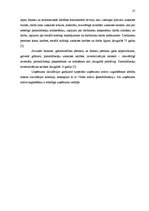 Referāts 'Individuālā komersanta "Kaplis" gada pārskata analīze un novērtēšana', 27.