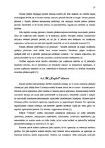 Referāts 'Individuālā komersanta "Kaplis" gada pārskata analīze un novērtēšana', 29.