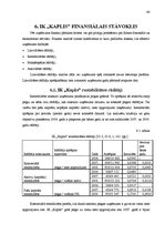 Referāts 'Individuālā komersanta "Kaplis" gada pārskata analīze un novērtēšana', 48.