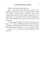 Referāts 'Izmaksu plānošana uzņēmējdarbībā', 10.