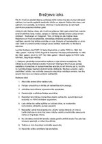 Eseja 'Brežņeva laiks', 1.