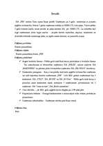 Referāts 'Apģēba veikala problēmsituācijas analīze', 2.