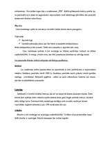 Referāts 'Apģēba veikala problēmsituācijas analīze', 4.