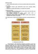 Referāts 'Ārpakalpojumi Latvijā', 4.