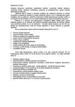 Referāts 'Ārpakalpojumi Latvijā', 5.