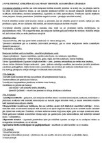 Konspekts 'Saistību tiesības. Vispārīgā daļa', 28.