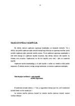 Konspekts 'Finanšu analīze', 43.