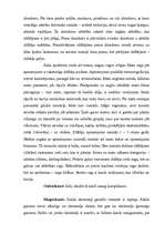 Referāts 'Zīdītāji', 3.