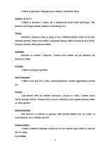 Konspekts 'Filosofijas atslēgvārdi', 3.