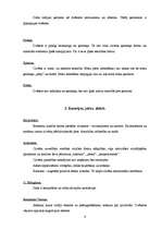 Konspekts 'Filosofijas atslēgvārdi', 4.