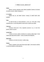 Konspekts 'Filosofijas atslēgvārdi', 6.