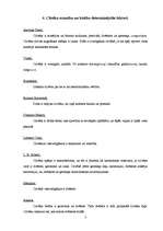 Konspekts 'Filosofijas atslēgvārdi', 7.