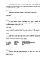 Konspekts 'Filosofijas atslēgvārdi', 9.