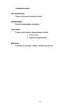 Konspekts 'Filosofijas atslēgvārdi', 13.