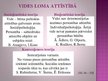 Prezentācija 'Personības attīstība iedzimtības un sociālās vides mijiedarbībā', 13.