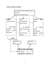 Referāts 'Psiholoģiskā klimata atšķirību cēloņi divās organizācijās', 5.