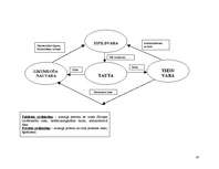 Konspekts 'Konstitucionālās tiesības', 47.