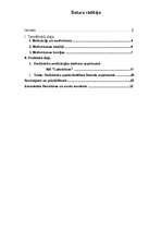 Referāts 'Darbinieku motivācijas sistēma uzņēmumā', 1.