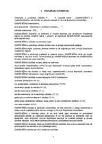 Paraugs 'SIA statūti', 2.