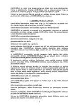 Paraugs 'SIA statūti', 3.