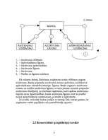 Referāts 'Kredīti un to veidi', 9.