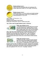 Referāts 'Latvijas Valsts valūta', 11.