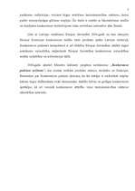 Referāts 'Konkurences regulējums Latvijas Republikā', 7.